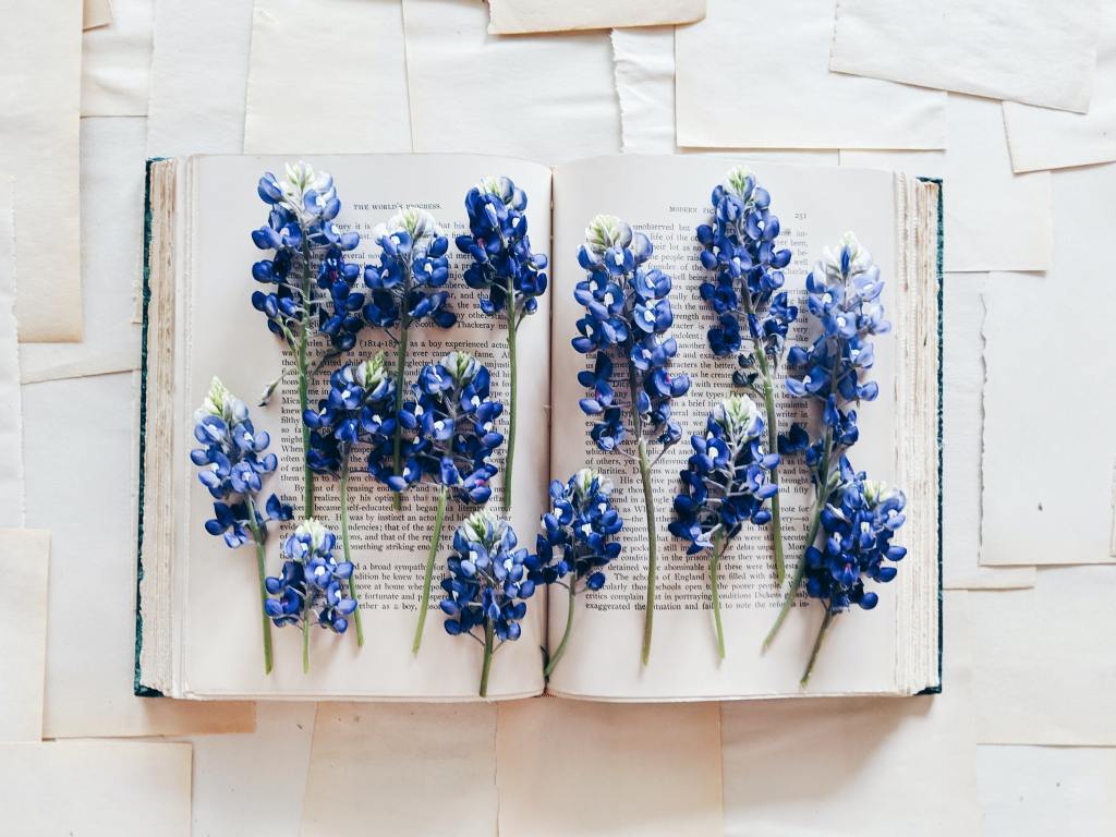 Book Log: Spring&nbsp;TBR
